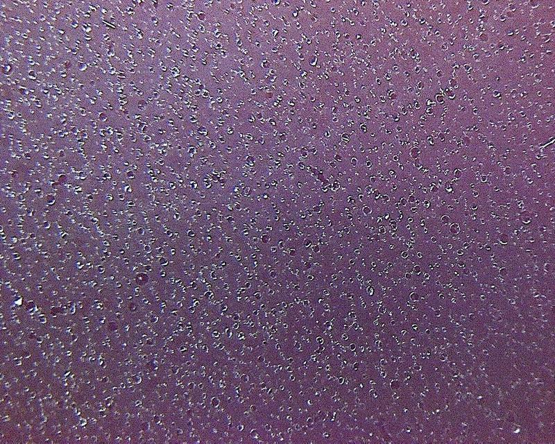 Micro-Suction Tape-Material Sample Shop