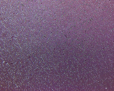 Micro-Suction Tape-Material Sample Shop