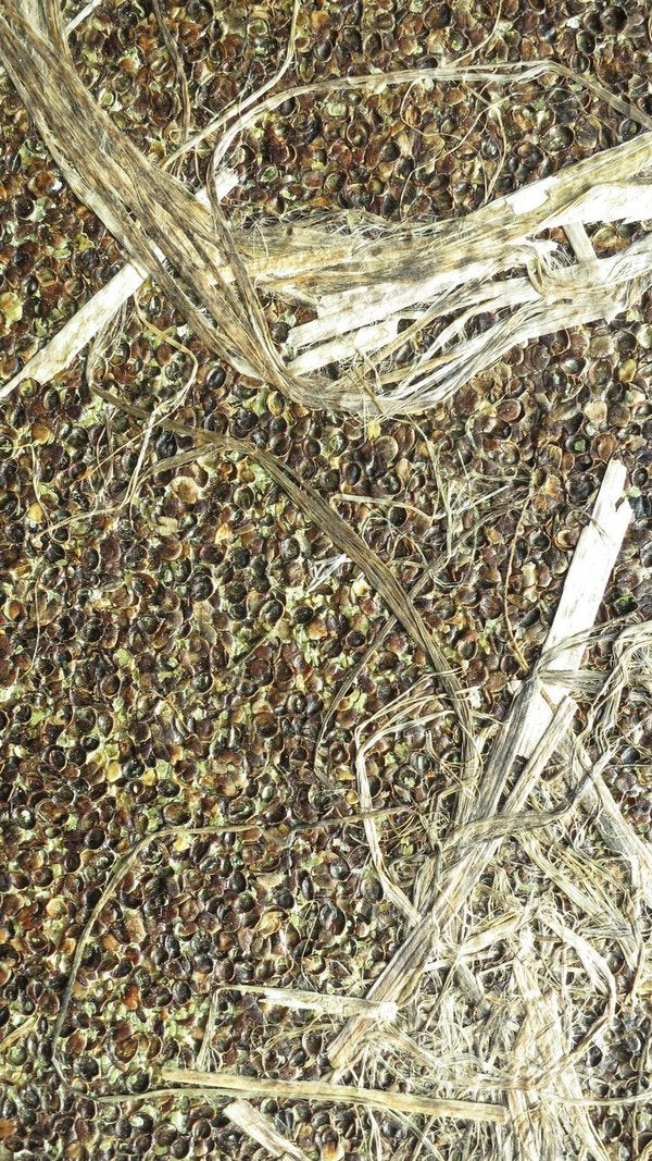 Organic Decorative Coatings - Organic materials bonded with a bio-based binder-Material Sample Shop