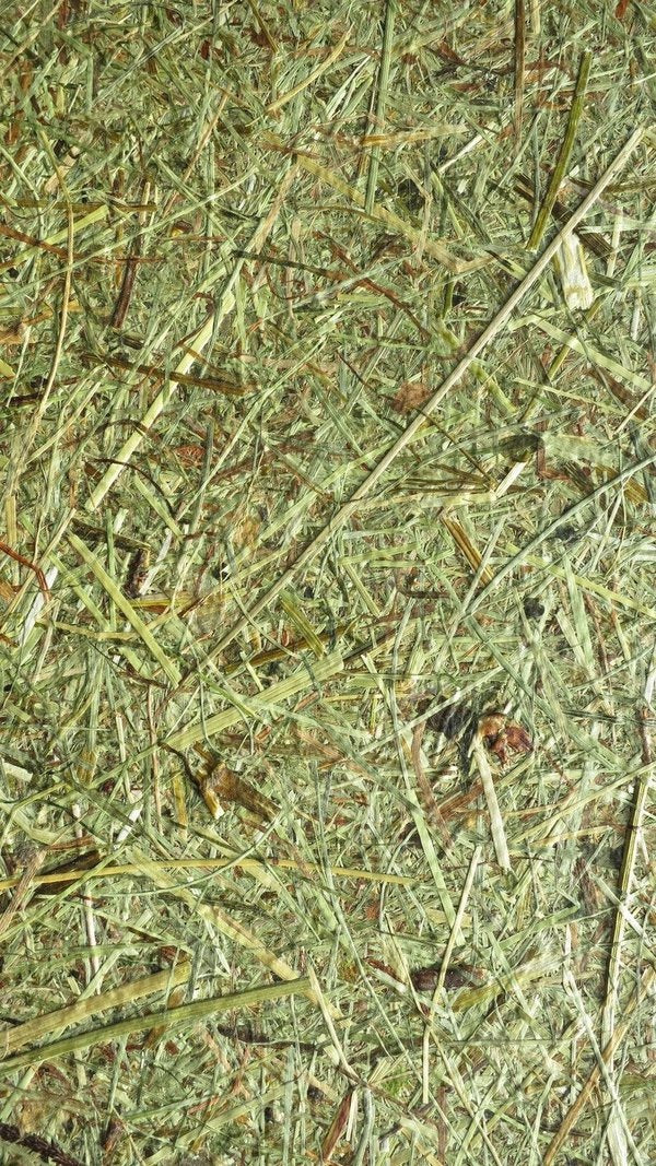 Organic Decorative Coatings - Organic materials bonded with a bio-based binder-Material Sample Shop