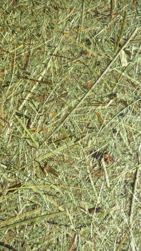 Organic Decorative Coatings - Organic materials bonded with a bio-based binder-Material Sample Shop