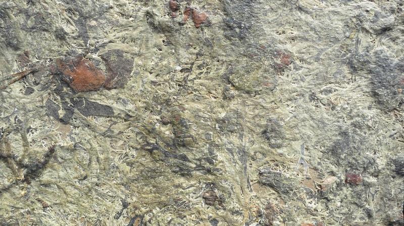 Organic Decorative Coatings - Organic materials bonded with a bio-based binder-Material Sample Shop