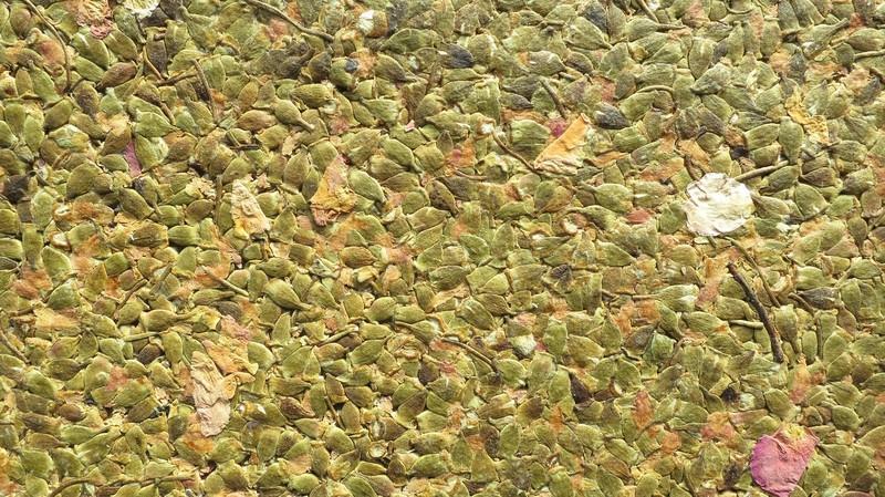 Organic Decorative Coatings - Organic materials bonded with a bio-based binder-Material Sample Shop