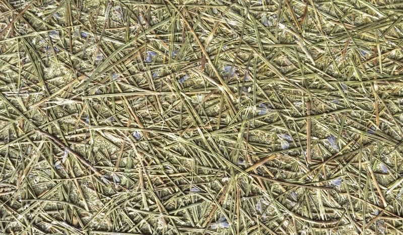 Organic Decorative Coatings - Organic materials bonded with a bio-based binder-Material Sample Shop