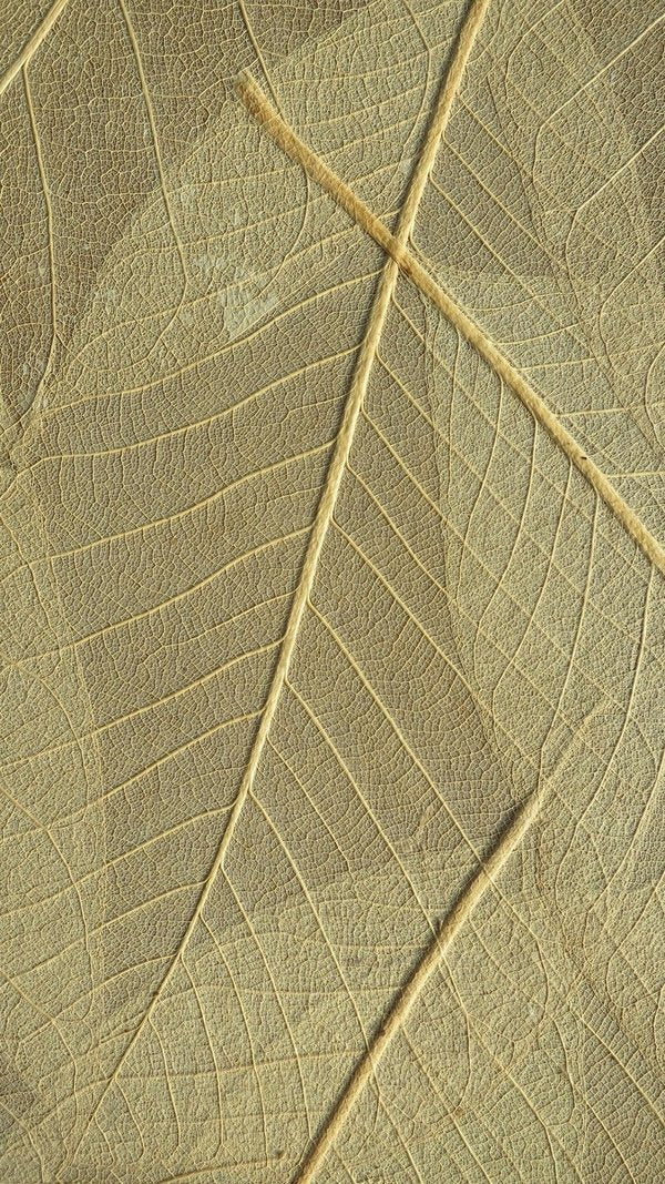 Organic Decorative Coatings - Organic materials bonded with a bio-based binder-Material Sample Shop